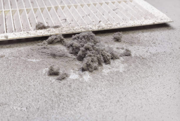 Best HVAC Air Duct Cleaning  in Camilla, GA